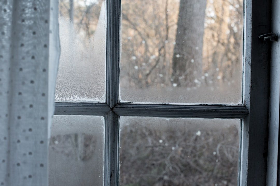 The Shocking Truth About Drying Out Your House
